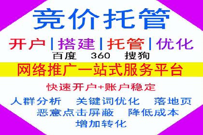 谷歌竞价优化：实战案例分析及策略